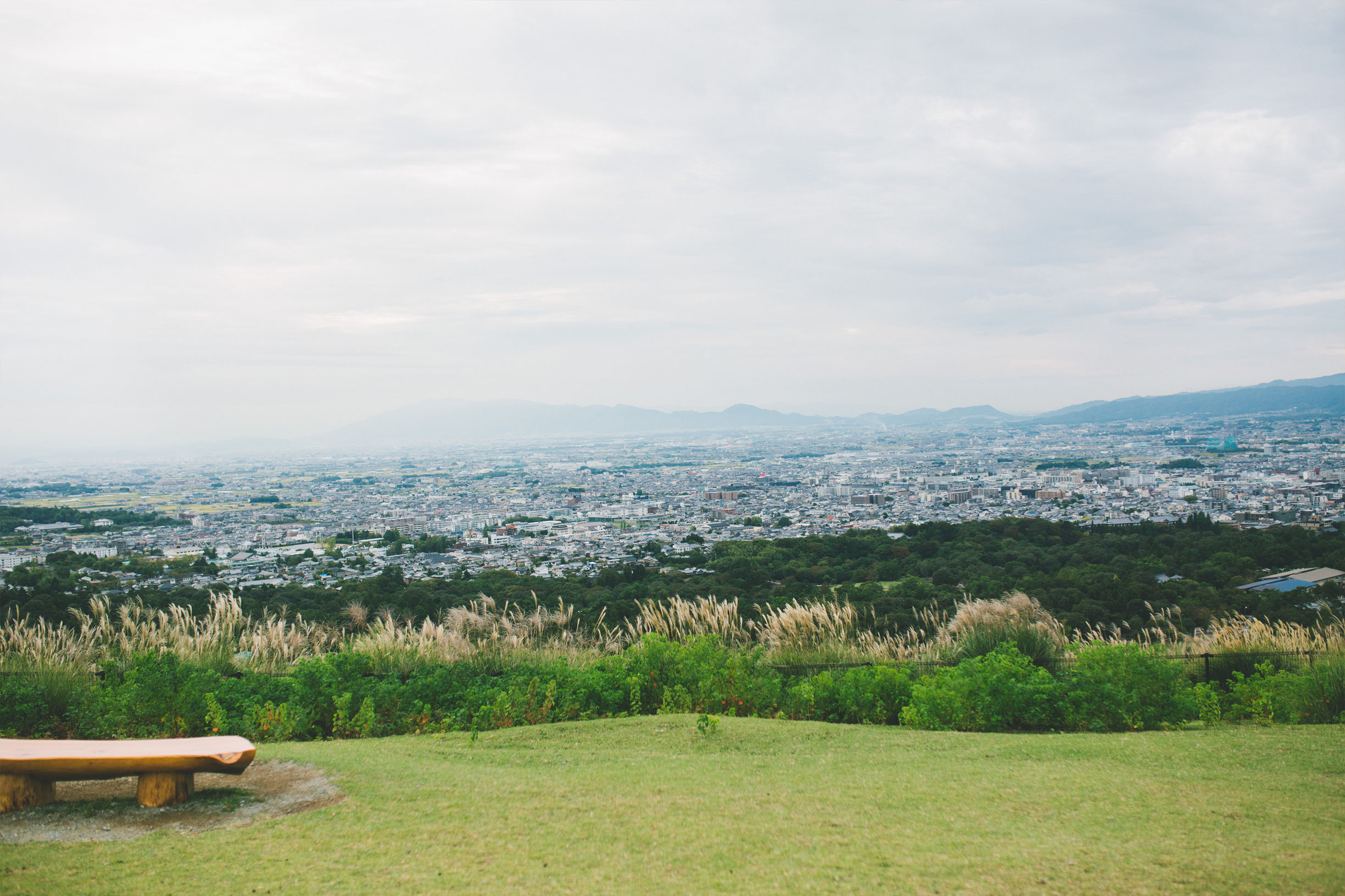 日本亲子游自由行攻略,日本旅游性价比攻略