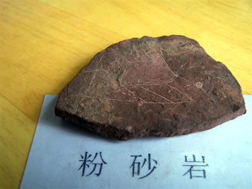 岩石由什么构成？今天我们来聊一聊