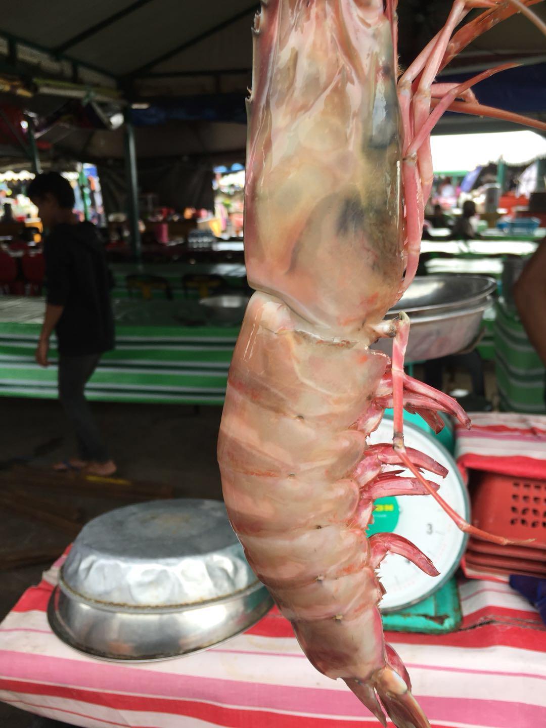 在马来西亚的沙巴码头,中国女生很受欢迎