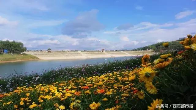 青海人采访,嘿青海歌曲