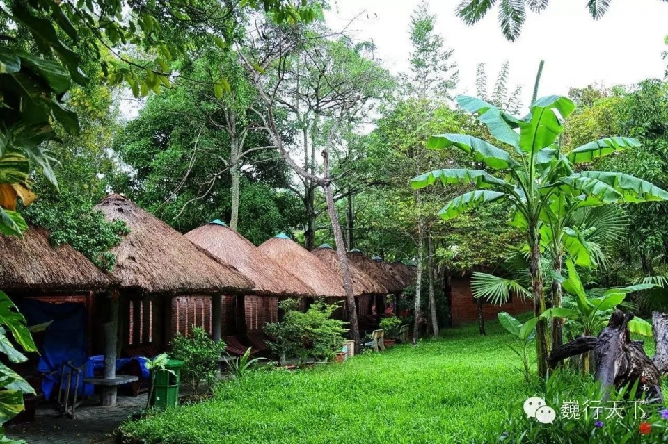 越南芽庄泥浆浴在哪个岛上,游越南芽庄享受泥浆浴