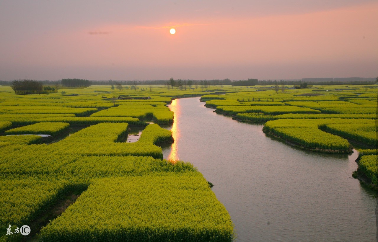 真正的快乐，不是狂喜，亦不是苦痛，它是细水长流，碧海无波