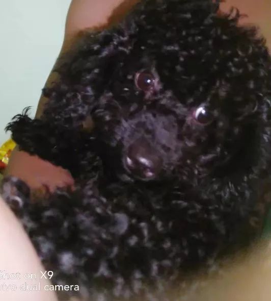 西部航空维修工程部张泽权：我所运送过的每一件航材，都是对生命的尊重