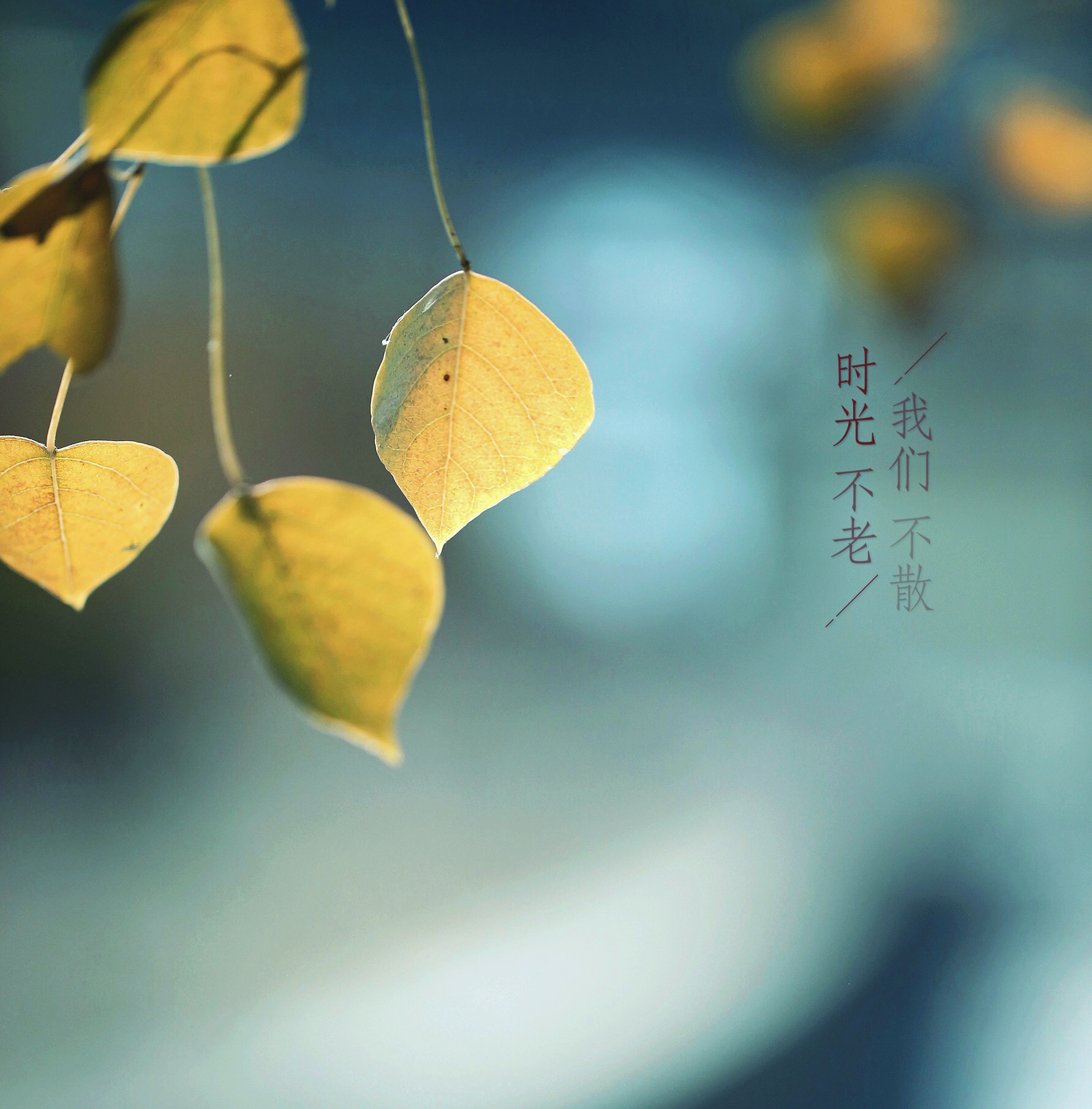 微信朋友圈相册图片封面简单干净,朋友圈20张图片拼图