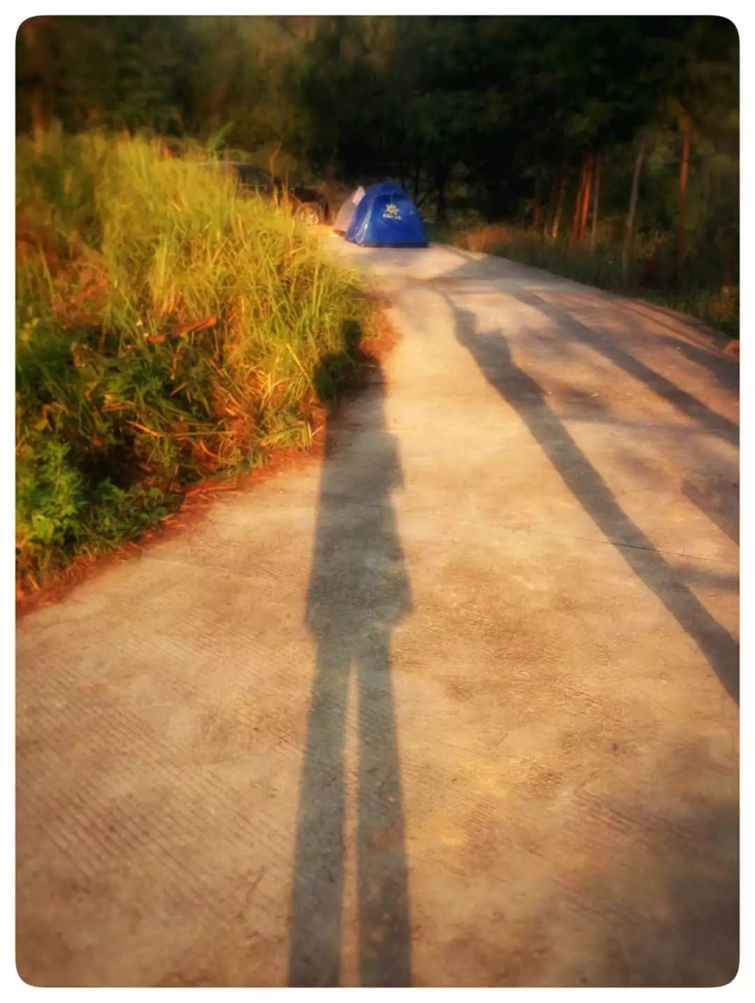 手机摄影作品赏析,手机摄影作品也可以美不胜收