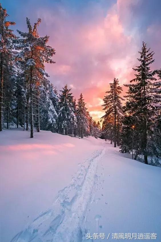 独钓寒江雪，风雪夜归人，200句经典冬天诗句