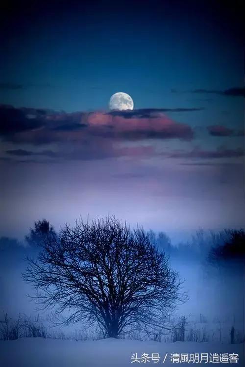 独钓寒江雪，风雪夜归人，200句经典冬天诗句