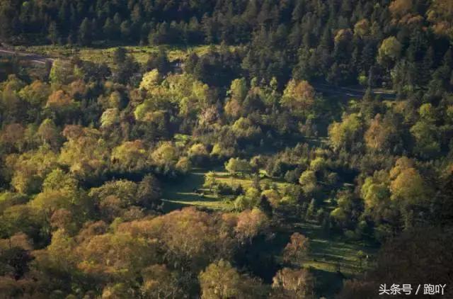 为何不要随便去雅安？