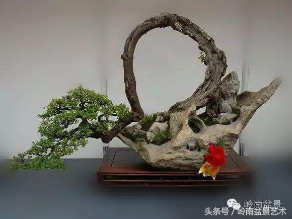 雀梅盆景价格在五千元至二万元的,经典中式庭院雀梅盆景100万以上