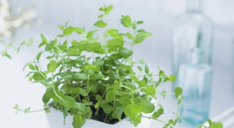 辽宁17岁少女,辽宁叛逆少年成长教育