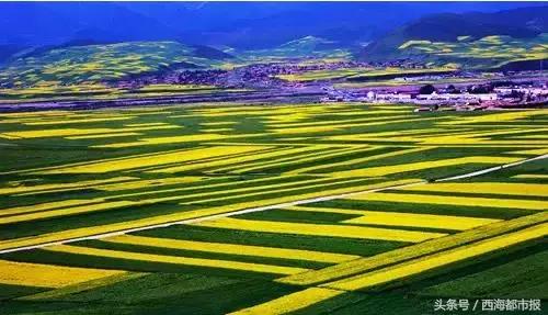 青海人采访,嘿青海歌曲