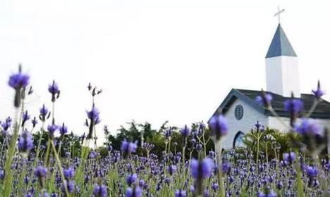 广州小仙女最爱的摩天*大轮**合集!《恶作剧之吻》同款来袭!