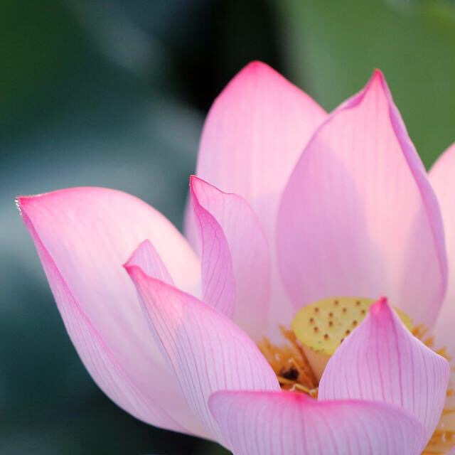 微信朋友圈相册图片封面简单干净,朋友圈20张图片拼图