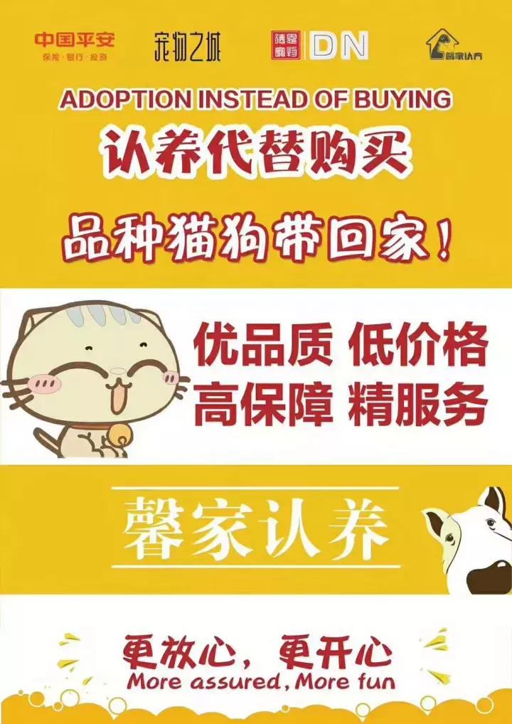 独家｜从源头开始，这家公司要用认养帮助千万宠主拥有爱宠