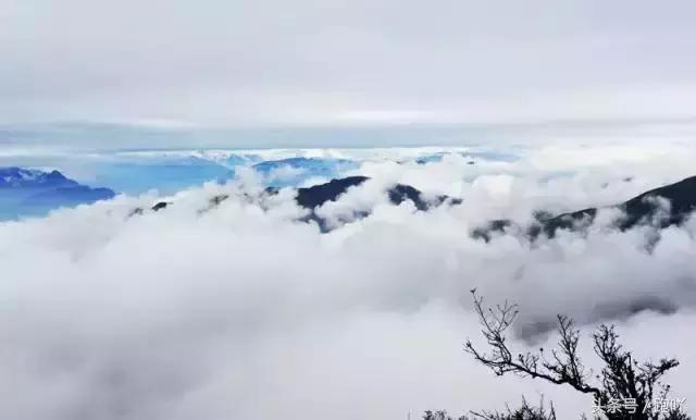 为何不要随便去雅安？