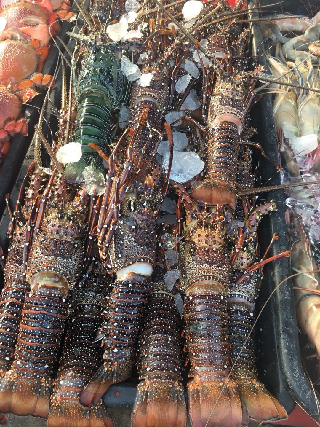 在马来西亚的沙巴码头,中国女生很受欢迎