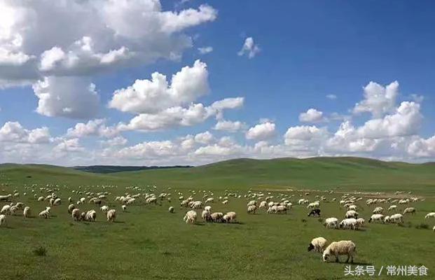 特别好吃的烤全羊,超级好吃的新疆烤全羊