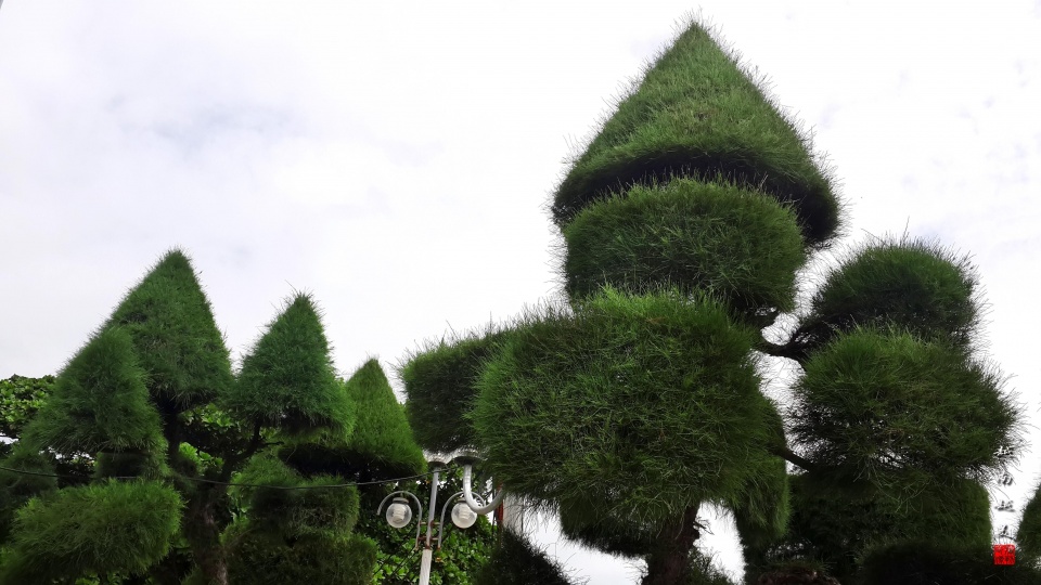 越南芽庄泥浆浴在哪个岛上,游越南芽庄享受泥浆浴