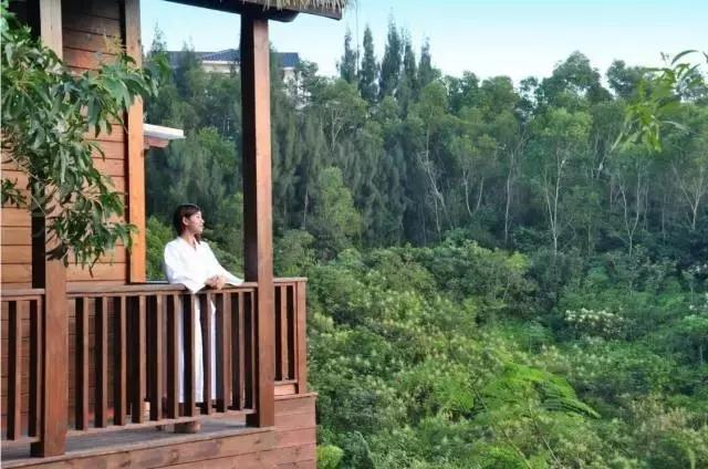 巽寮湾周边温泉,惠州巽寮湾海滨温泉度假村