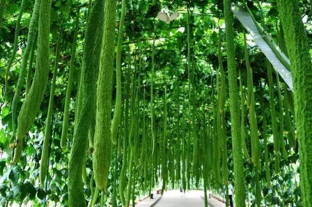 榆林十二县最美的乡镇,榆林最美的乡村排名