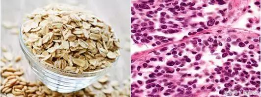 舌尖上的中医药论文,舌尖上的医疗