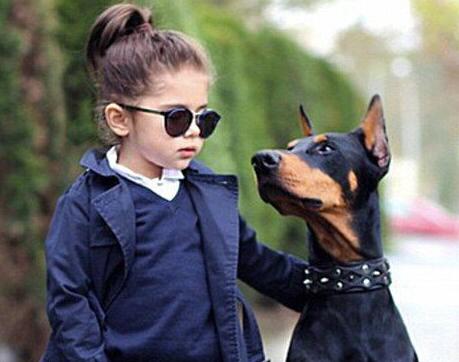 如何饲养杜宾犬,杜宾犬饲养方法和注意事项