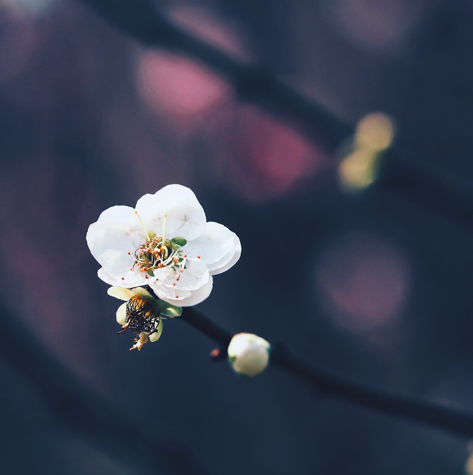 微信朋友圈相册图片封面简单干净,朋友圈20张图片拼图