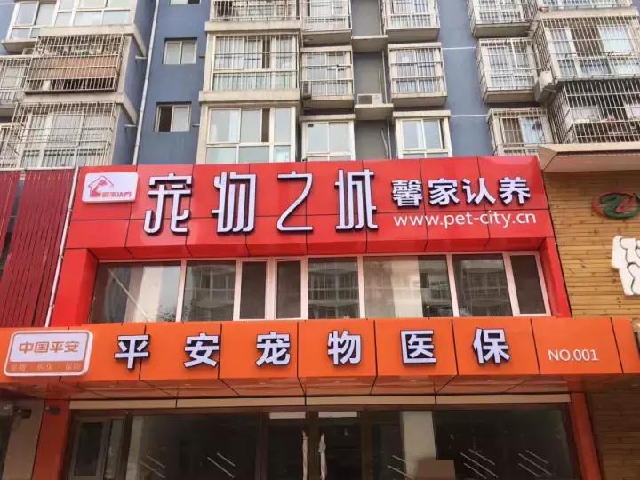 独家｜从源头开始，这家公司要用认养帮助千万宠主拥有爱宠