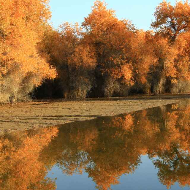 思维导图可学吗,靠谱思维导图