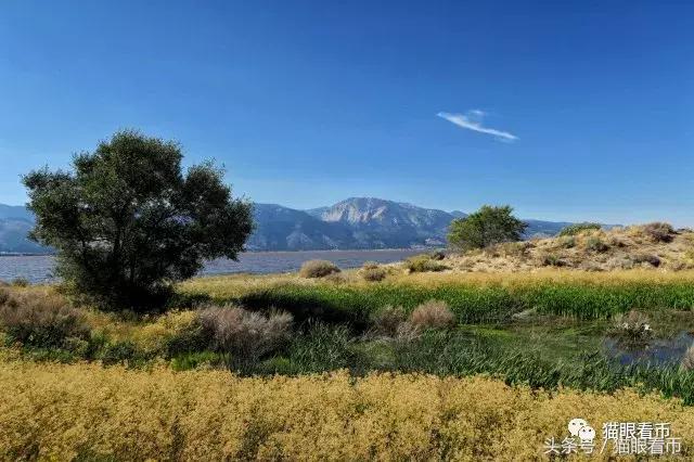 弗吉尼亚城,弗吉尼亚老城