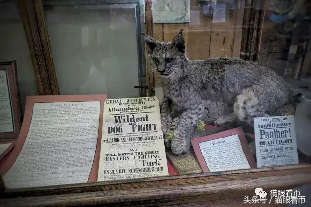 弗吉尼亚城,弗吉尼亚老城