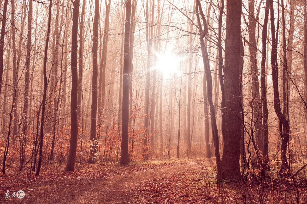 杜甫的长篇古诗秋兴八首,描写秋天的唐诗宋词元曲十首