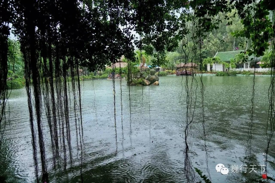 越南芽庄泥浆浴在哪个岛上,游越南芽庄享受泥浆浴