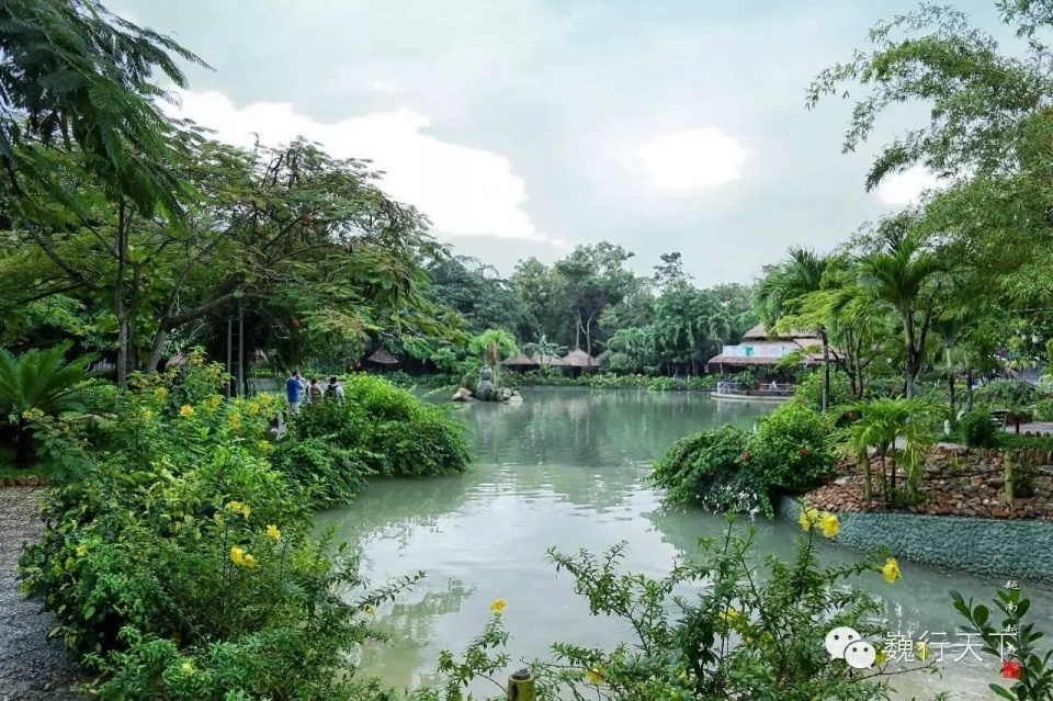 越南芽庄泥浆浴在哪个岛上,游越南芽庄享受泥浆浴