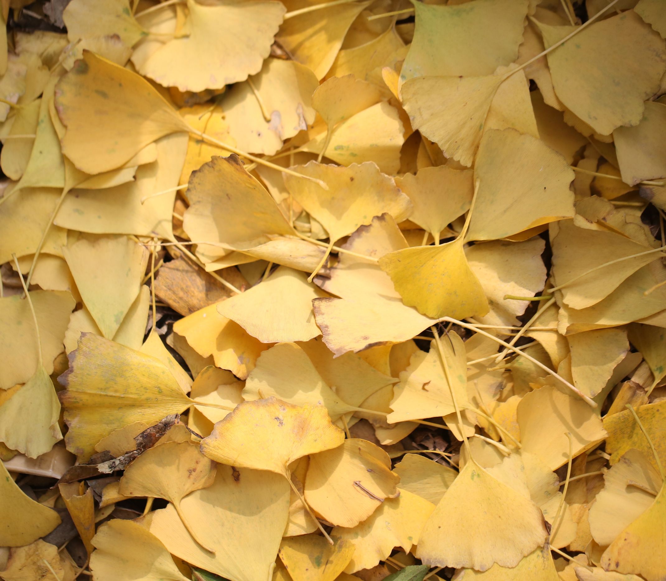 微信朋友圈相册图片封面简单干净,朋友圈20张图片拼图