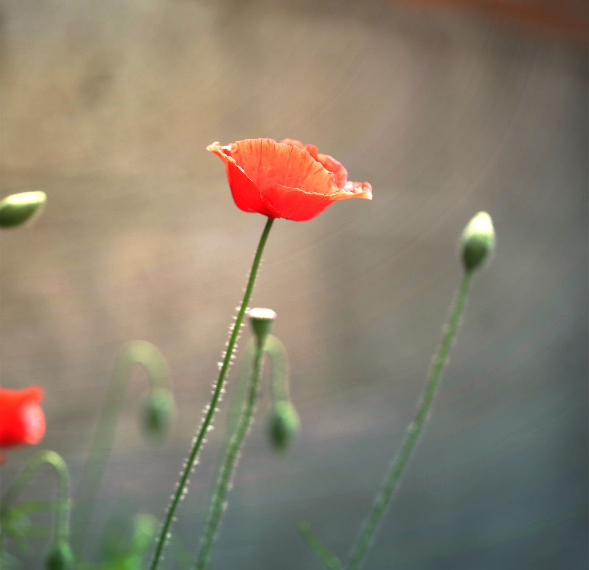 微信朋友圈相册图片封面简单干净,朋友圈20张图片拼图