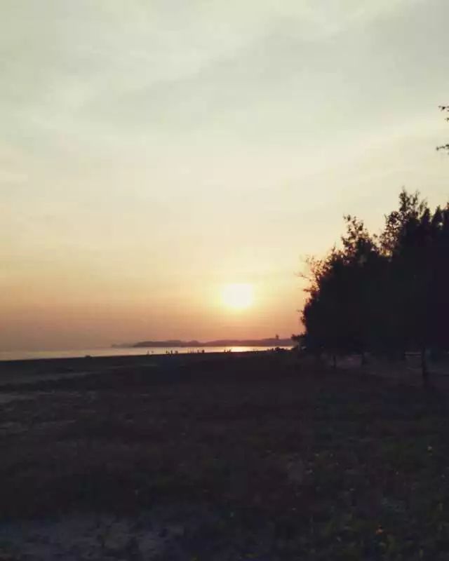 手机摄影作品赏析,手机摄影作品也可以美不胜收