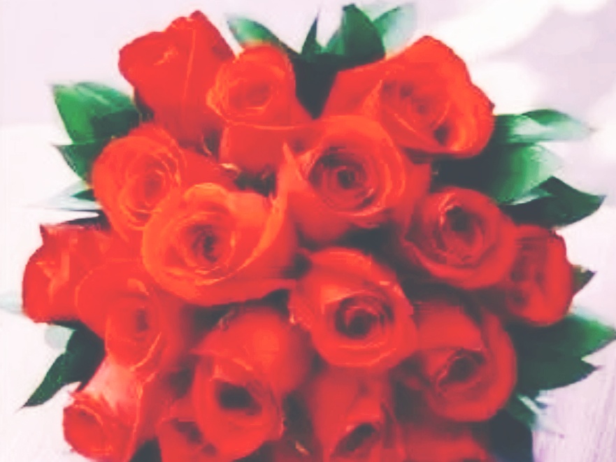 全球十大最美的国花,所有国家的国花大全