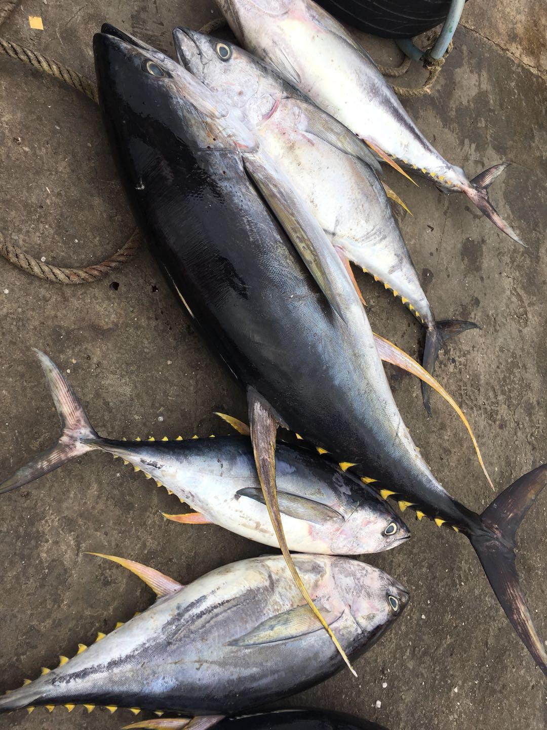 在马来西亚的沙巴码头,中国女生很受欢迎