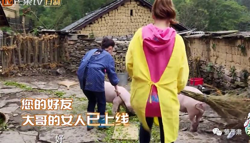 应采儿jasper为陈小春应援 (jasper看应采儿亲陈小春的眼神)