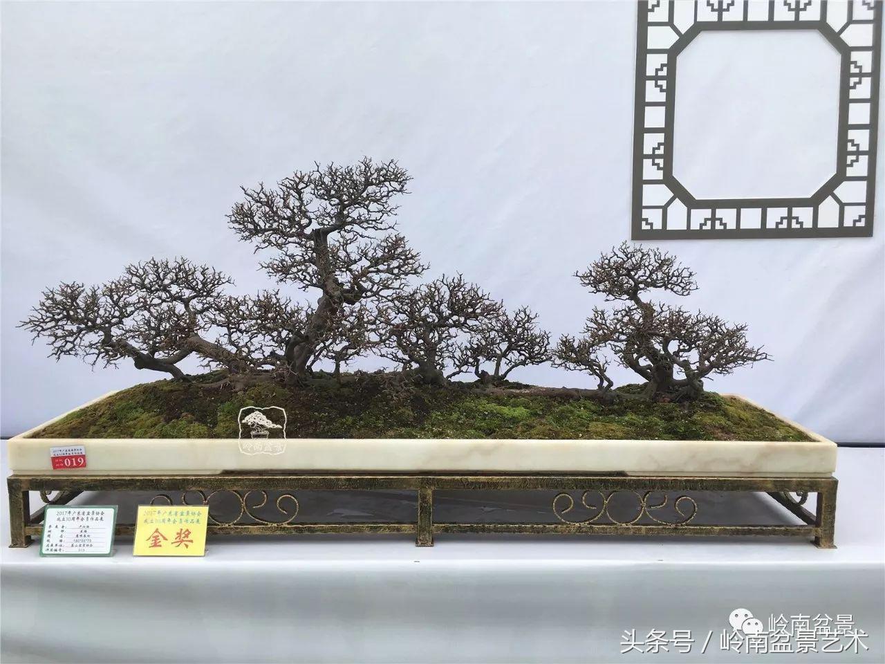 雀梅盆景价格在五千元至二万元的,经典中式庭院雀梅盆景100万以上