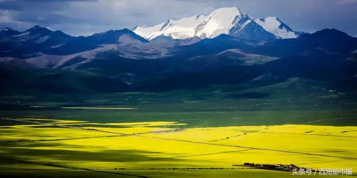 青海人采访,嘿青海歌曲