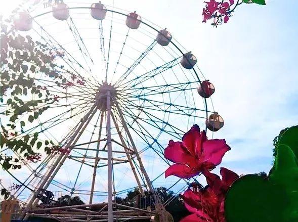 广州小仙女最爱的摩天*大轮**合集!《恶作剧之吻》同款来袭!