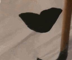 启功48首自作诗书法,启功书法杜甫望岳诗轴