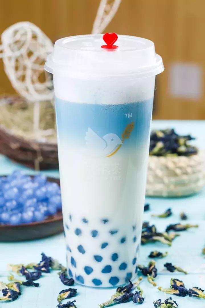 新一轮少女收割机首登天津，为何这家网红饮品店成为新街拍神器？