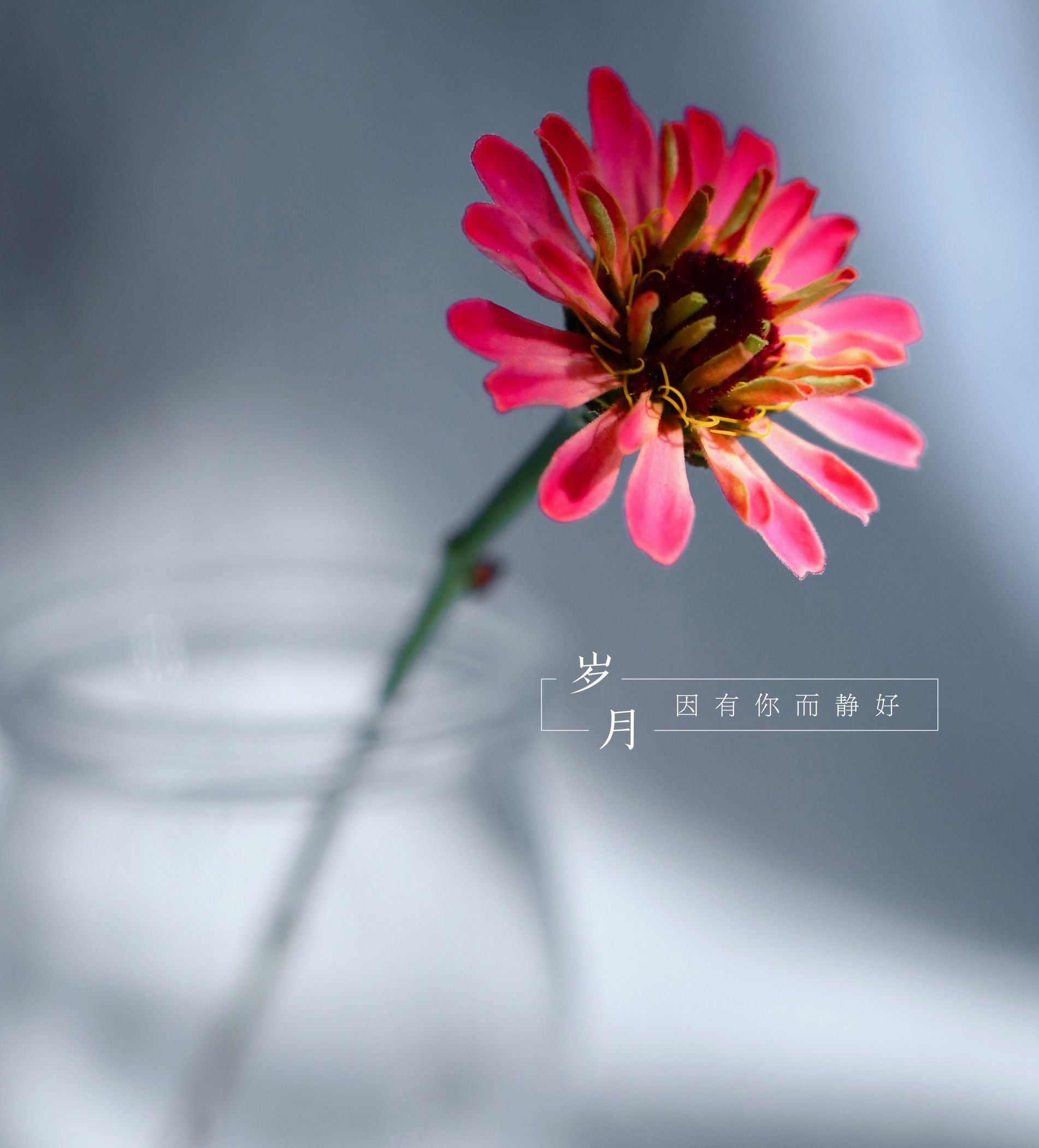 微信朋友圈相册图片封面简单干净,朋友圈20张图片拼图