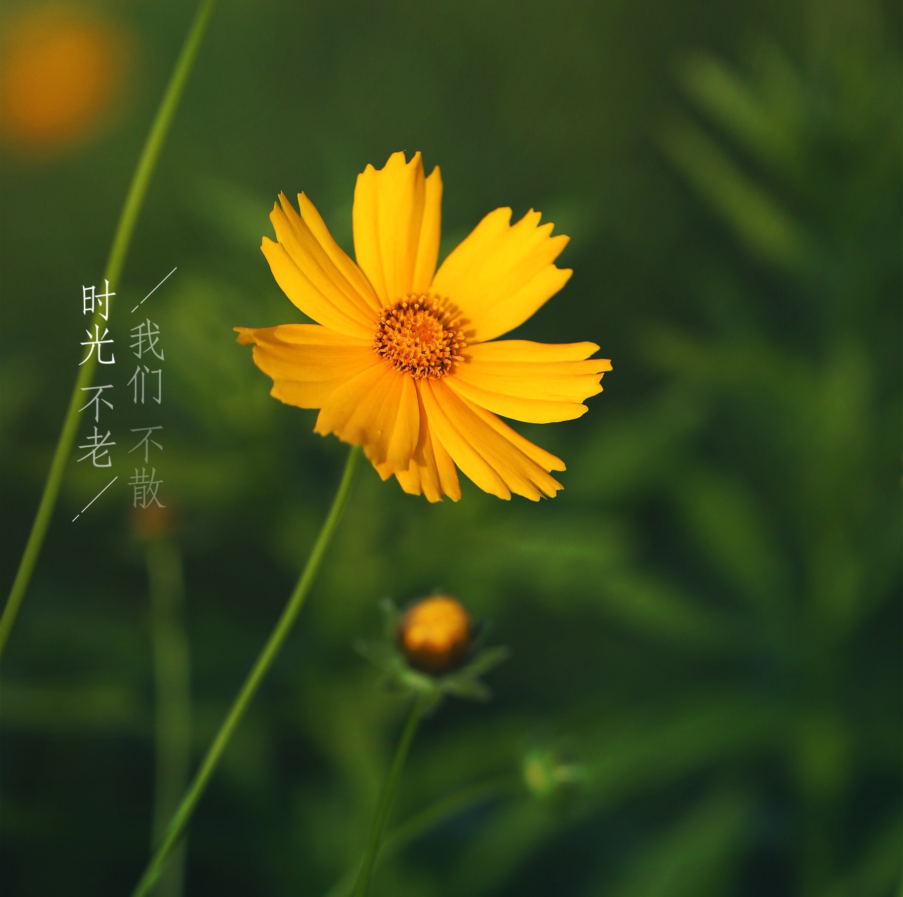 微信朋友圈相册图片封面简单干净,朋友圈20张图片拼图