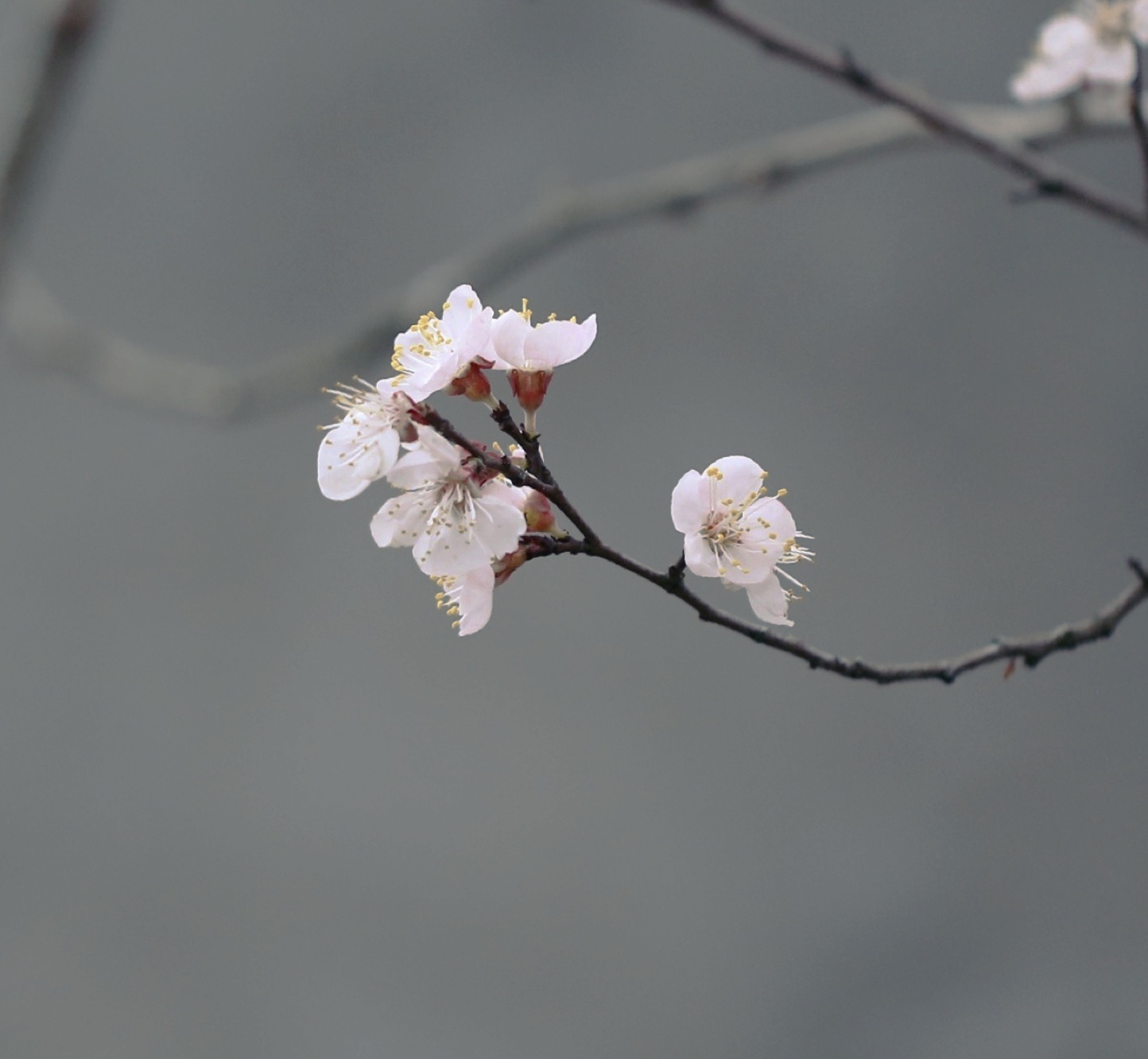 微信朋友圈相册图片封面简单干净,朋友圈20张图片拼图
