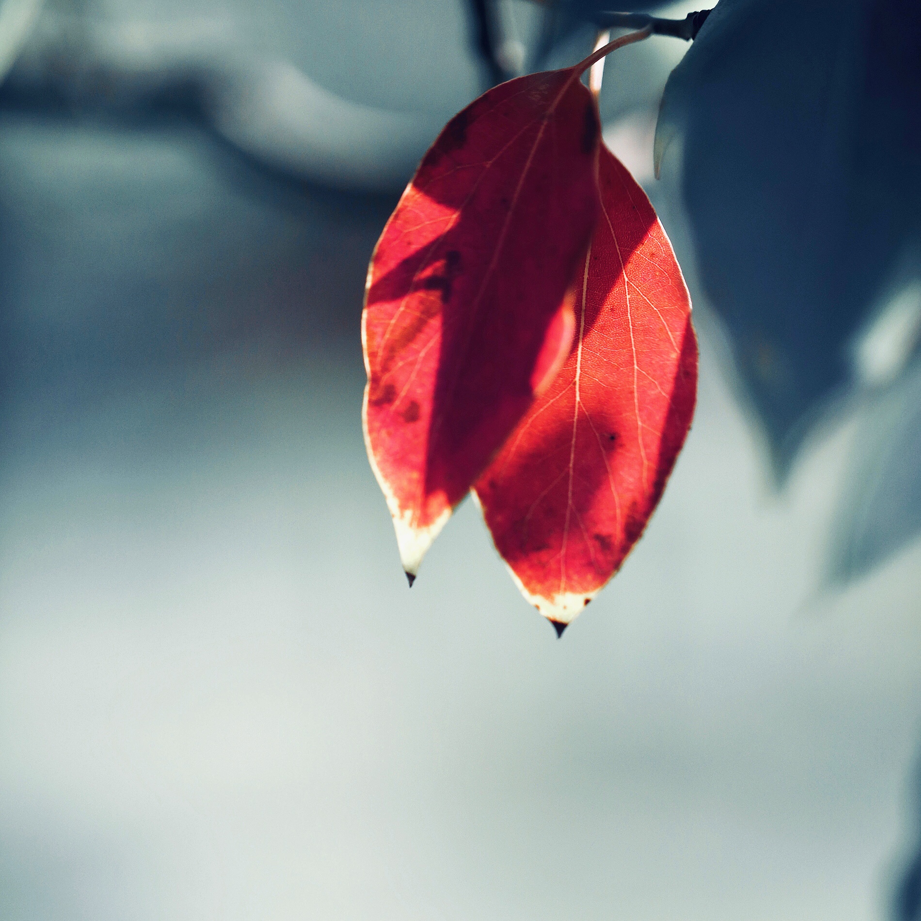 微信朋友圈相册图片封面简单干净,朋友圈20张图片拼图