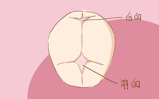 宝宝头部大小影响智力吗,宝宝头小和智力有关吗